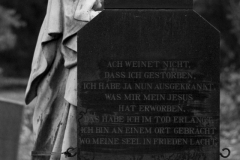 20341_DSC0747
