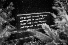 21458_DSC5541