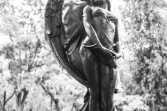 21924_DSC8641