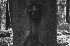 22371_DZ50510