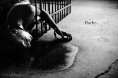Fluchtpunkt-019