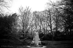 Das-Schicksal-001