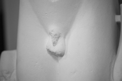21246_DSC9010