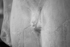 21246_DSC9011
