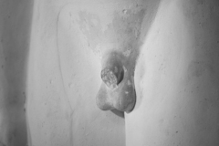 21246_DSC9012