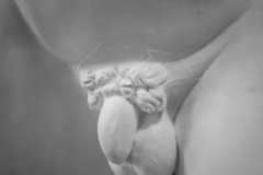 21246_DSC9099