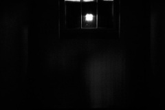 17709_DSC3106