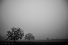 18818_DSC0667