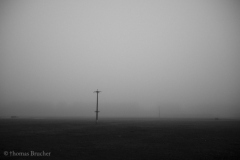 18818_DSC0685
