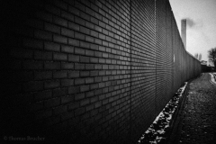 18838_DSC0800