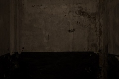 20886_DSC0090