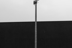 21006_DSC1583