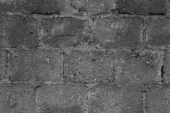 21006_DSC1595